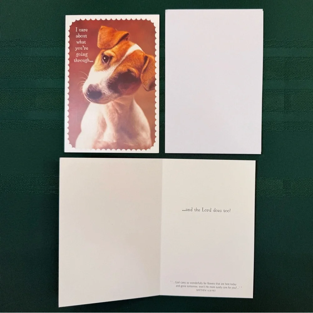 DaySpring 14 Count Greeting Cards With Envelopes Set #1